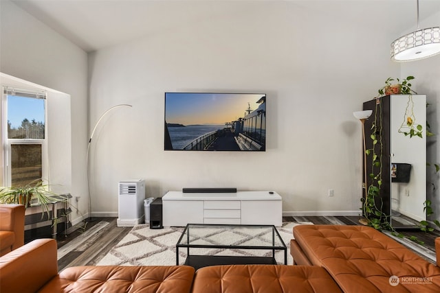 living room with dark hardwood / wood-style floors