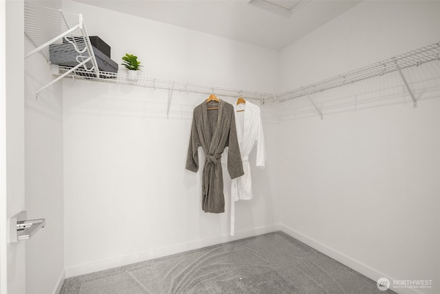 1510E Hollow Dale Pl, Everett, WA 98204 - spacious closet with carpet flooring
