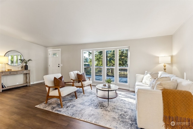 living room with dark hardwood / wood-style floors