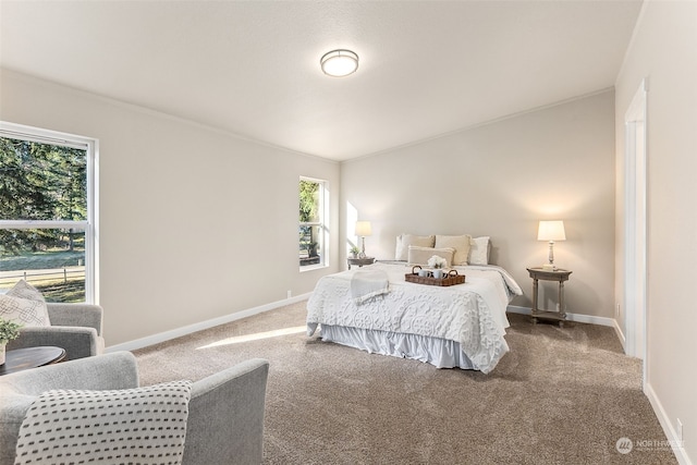 carpeted bedroom featuring crown molding