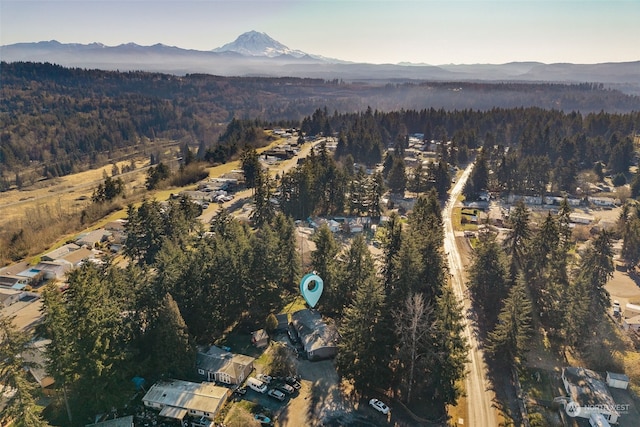 aerial view with a mountain view