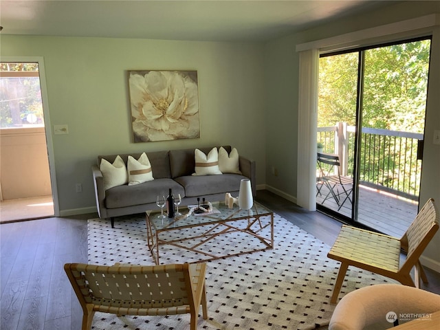 living room with wood-type flooring