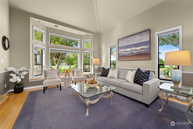 living room featuring hardwood / wood-style flooring and high vaulted ceiling