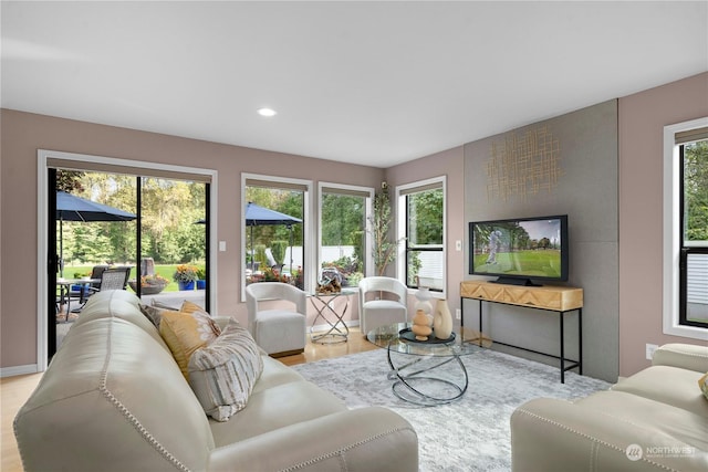 living room featuring plenty of natural light and light hardwood / wood-style floors