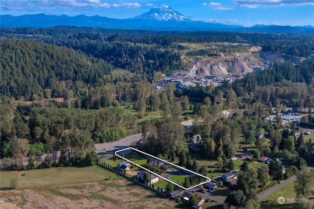 birds eye view of property with a mountain view