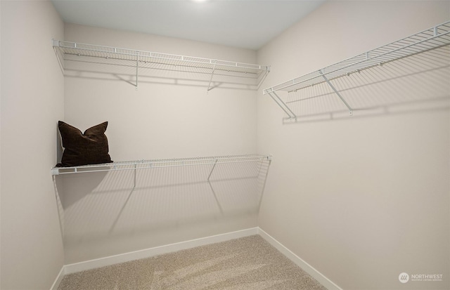 walk in closet featuring carpet