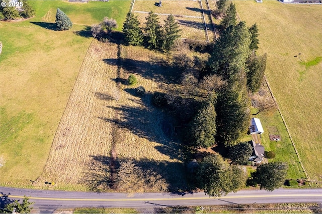 drone / aerial view featuring a rural view