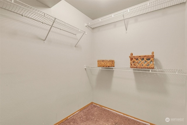 walk in closet with carpet floors