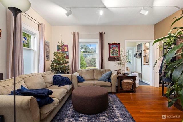 living room featuring dark hardwood / wood-style flooring