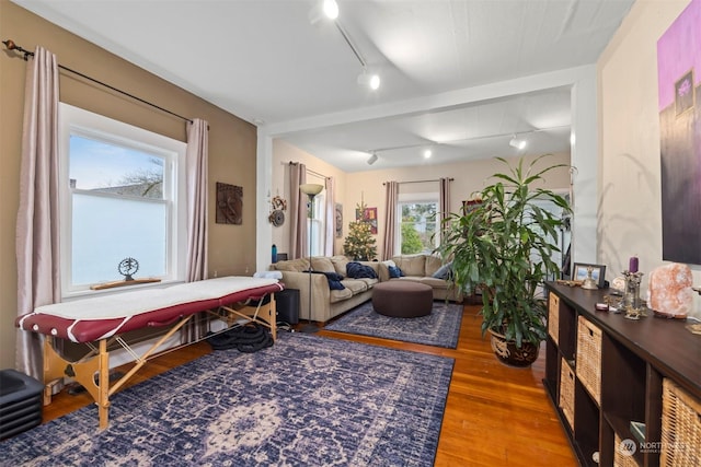 living room featuring hardwood / wood-style flooring and track lighting