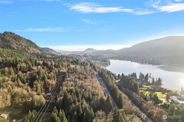 view of mountain feature featuring a water view