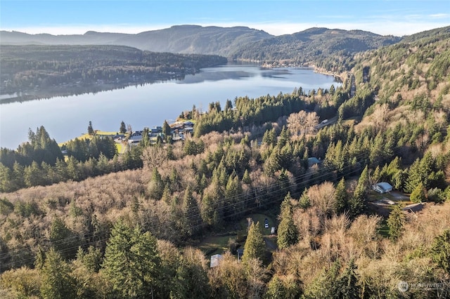 birds eye view of property with a water and mountain view