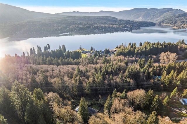 bird's eye view with a water and mountain view