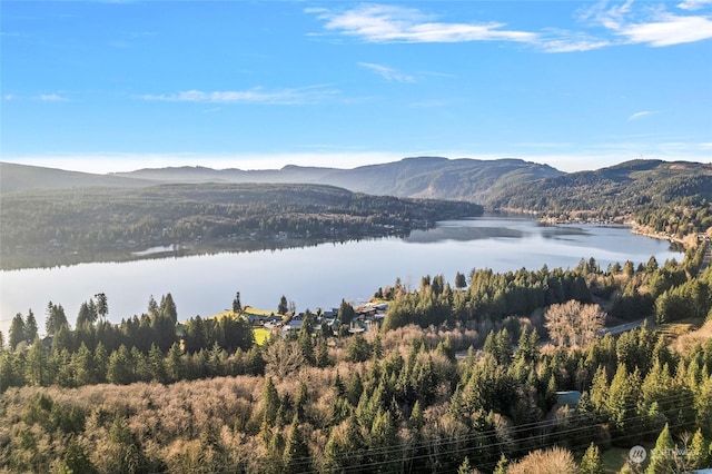 property view of mountains with a water view