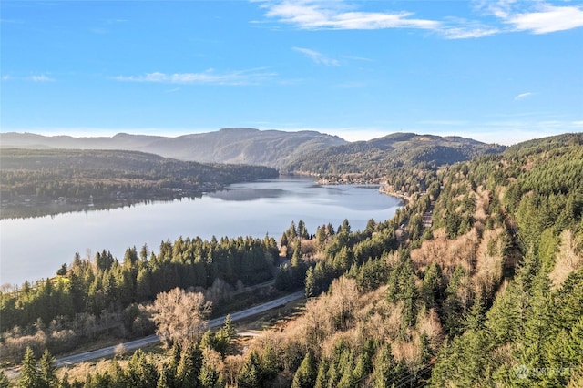 view of mountain feature featuring a water view