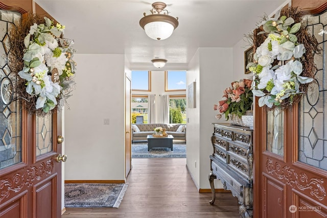 entryway featuring dark wood-type flooring