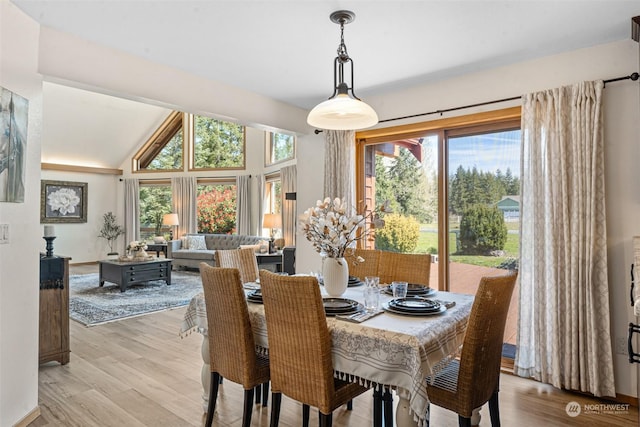 dining space featuring vaulted ceiling, a healthy amount of sunlight, and light hardwood / wood-style floors