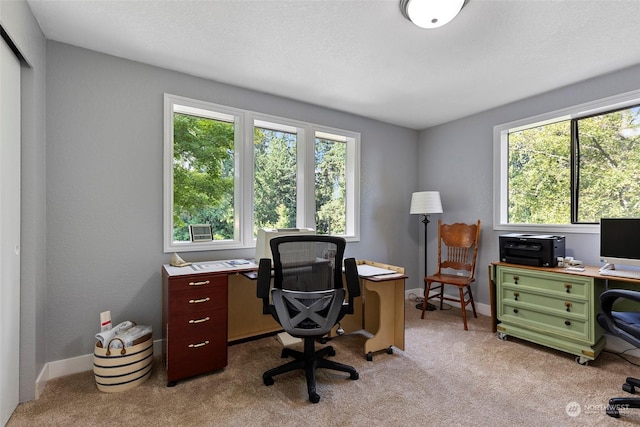 view of carpeted office space