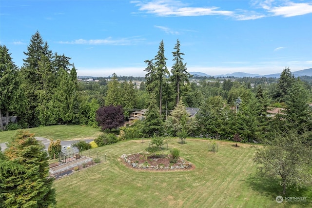 view of yard with a mountain view