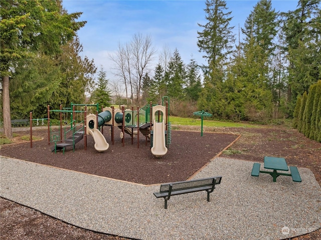 view of jungle gym