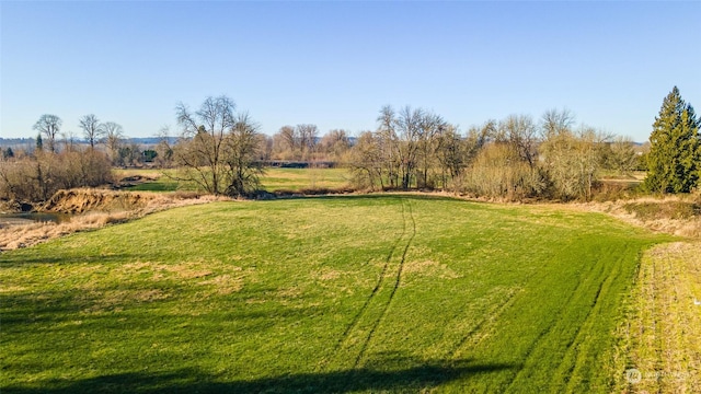 view of yard featuring a rural view