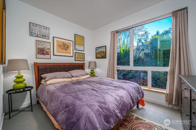 bedroom with carpet floors