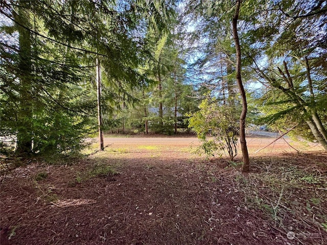 Listing photo 3 for 10123 Lake Florence Pl, Anderson Island WA 98303