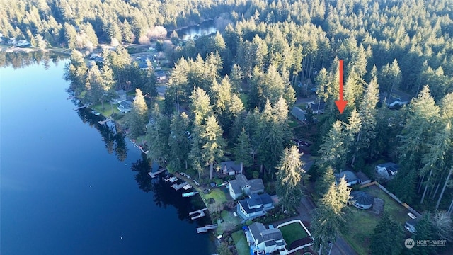 10123 Lake Florence Pl, Anderson Island WA, 98303 land for sale