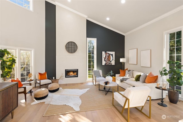 sitting room with crown molding, high vaulted ceiling, and light hardwood / wood-style flooring