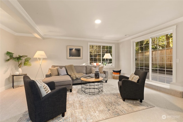 living room with ornamental molding, a healthy amount of sunlight, and light carpet