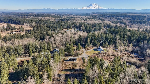 bird's eye view with a mountain view