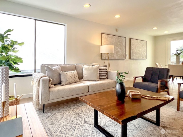 living room featuring light hardwood / wood-style floors