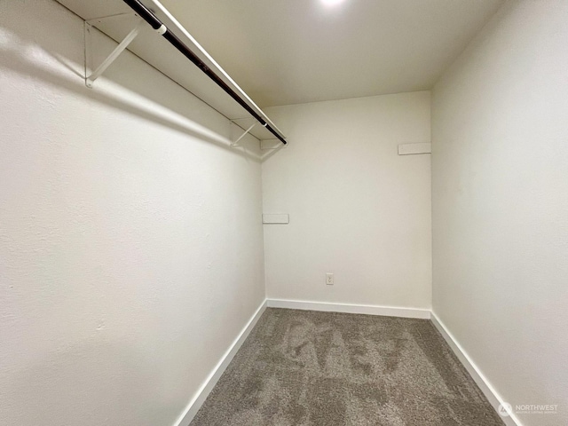 walk in closet with carpet floors