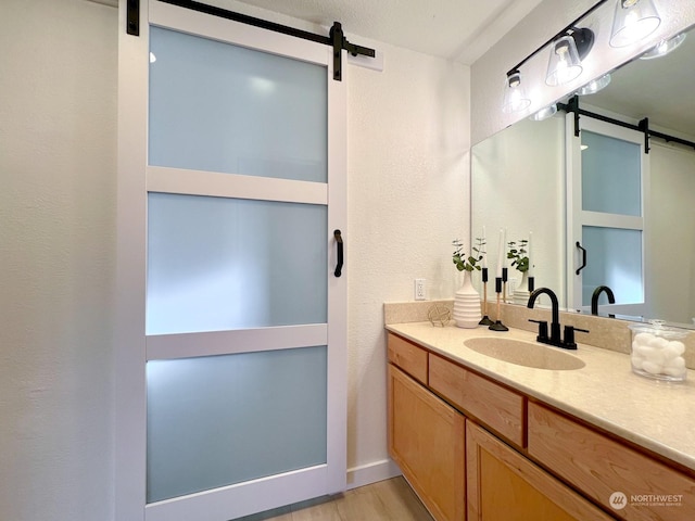 bathroom with hardwood / wood-style flooring and vanity