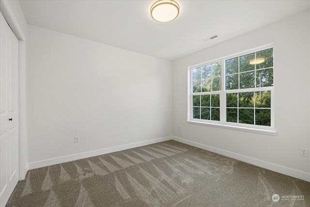 unfurnished room featuring carpet