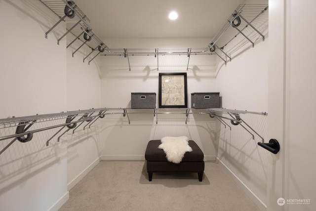 walk in closet featuring light carpet