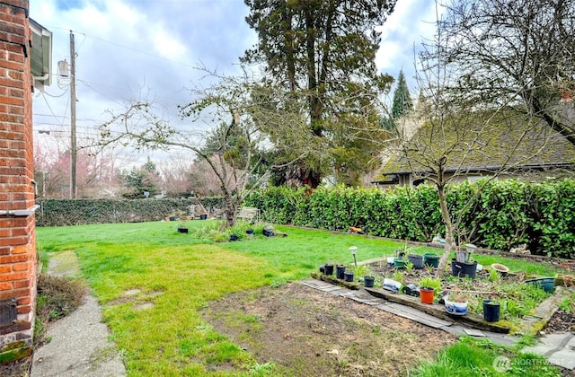 view of yard featuring a garden