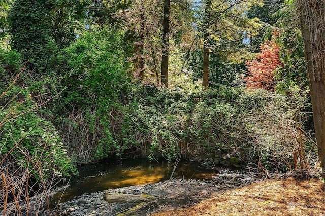 view of local wilderness