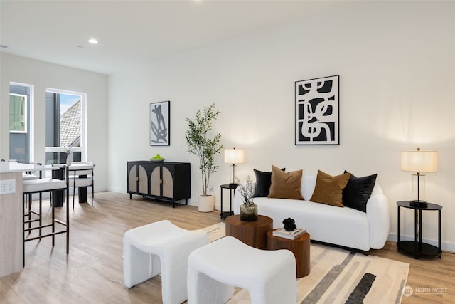 living room featuring light hardwood / wood-style floors