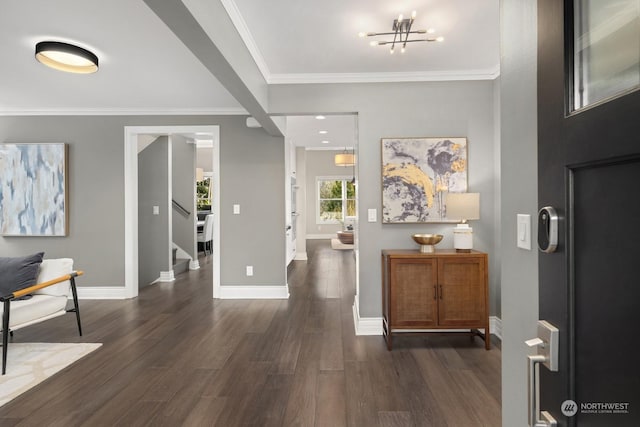 foyer with dark wood-type flooring and crown molding