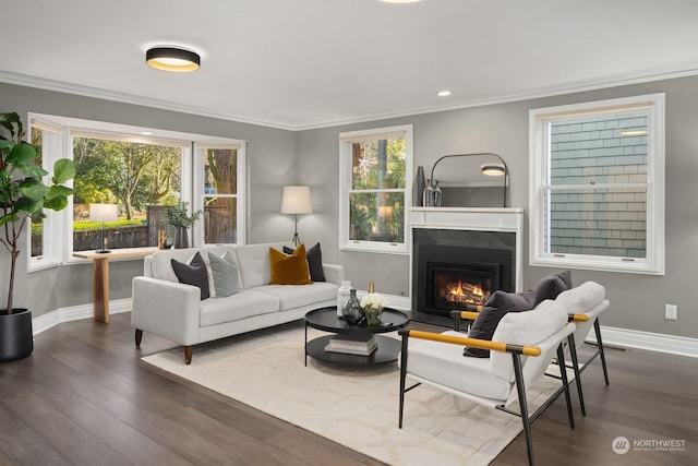 living room featuring ornamental molding and dark hardwood / wood-style floors