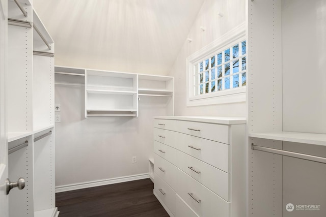 spacious closet featuring dark wood-type flooring