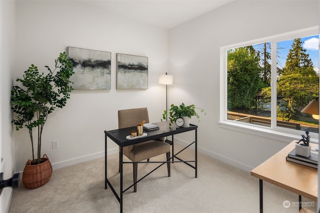 carpeted office with a wealth of natural light