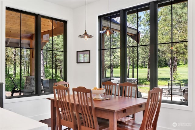 dining area featuring plenty of natural light