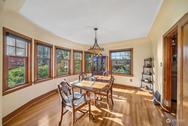 dining room with light hardwood / wood-style floors