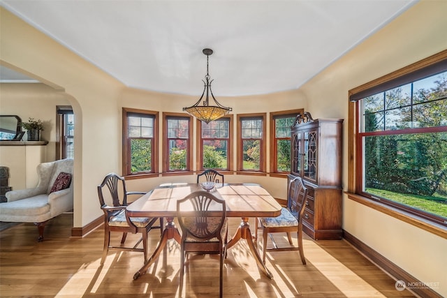 dining space featuring light hardwood / wood-style flooring