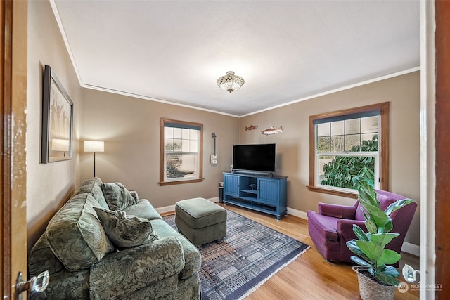 living room featuring ornamental molding and light hardwood / wood-style floors