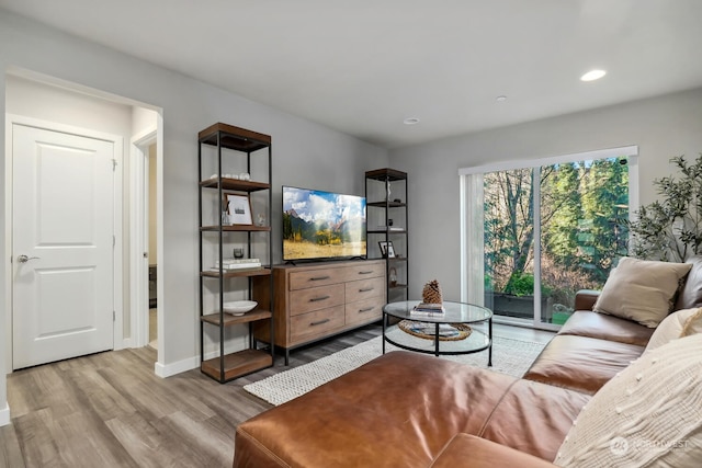 living room with light wood-type flooring