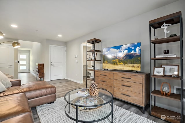 living room featuring dark wood-type flooring