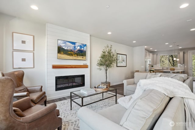 living room with a large fireplace and wood-type flooring